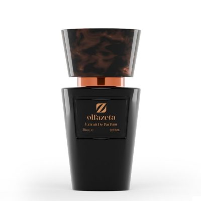 Cod. 312 Perfume for Him with 30% essence 30 ml