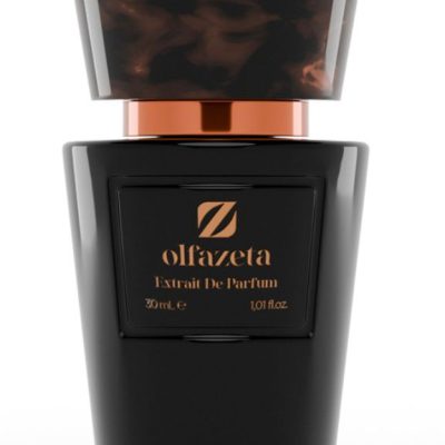 Cod. 369 Perfume for Him with 30% essence 30 ml