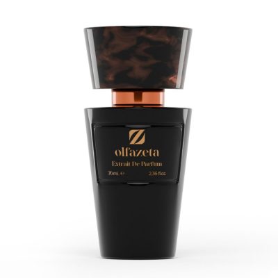 Cod. 061 Perfume for Him with 30% essence 70 ml